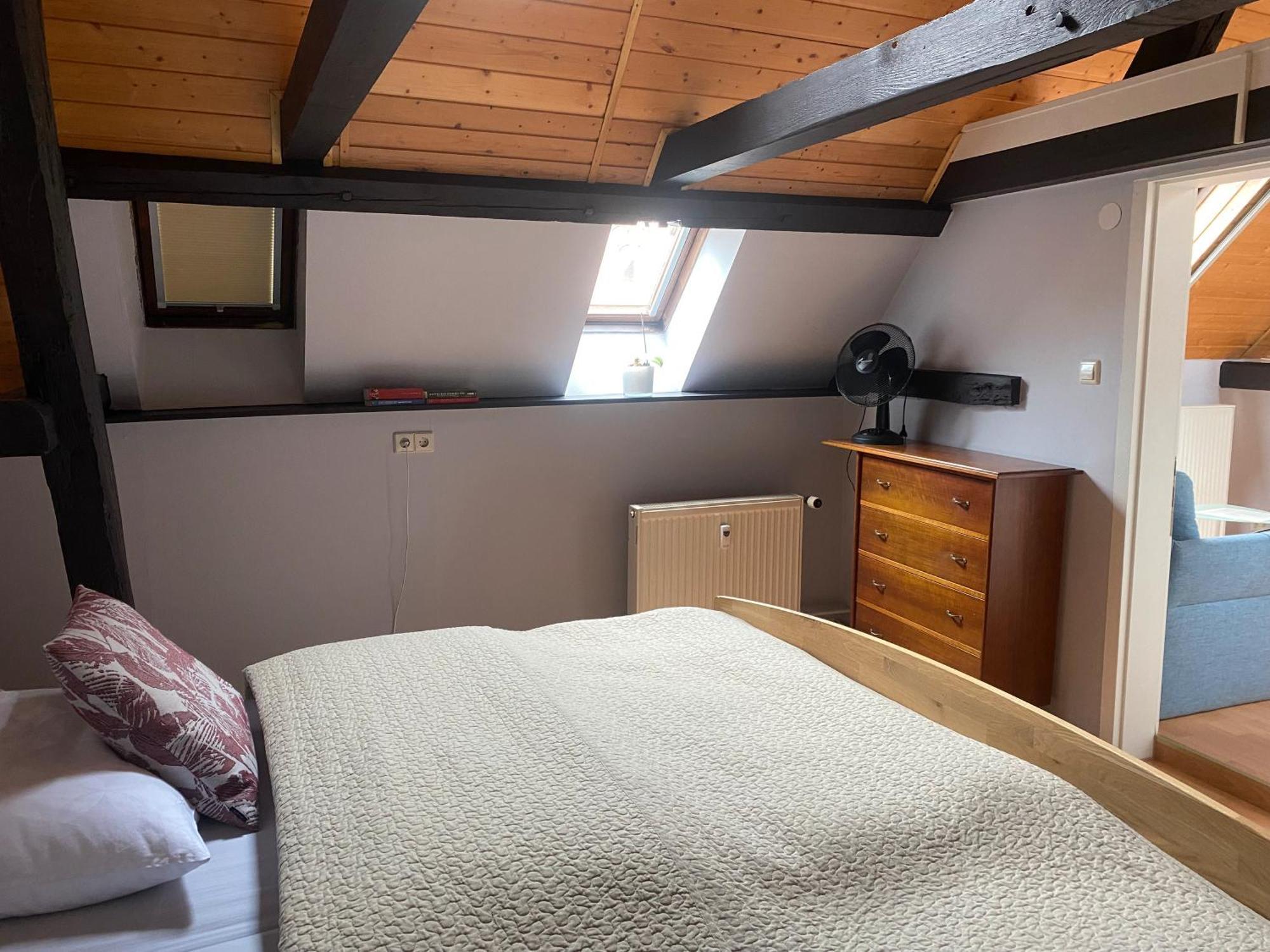 Ferienwohnung An Der Brigach Донауешинген Екстер'єр фото