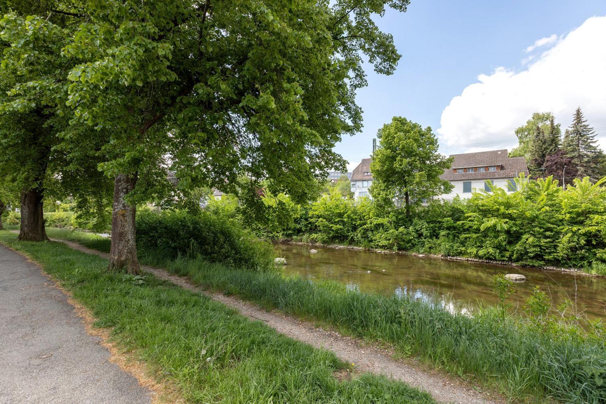 Ferienwohnung An Der Brigach Донауешинген Екстер'єр фото